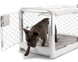 <strong>Diggs Revol Dog Crate </strong>
<br/>Ash Small for Minis 28"L x 20"W x 21"H
